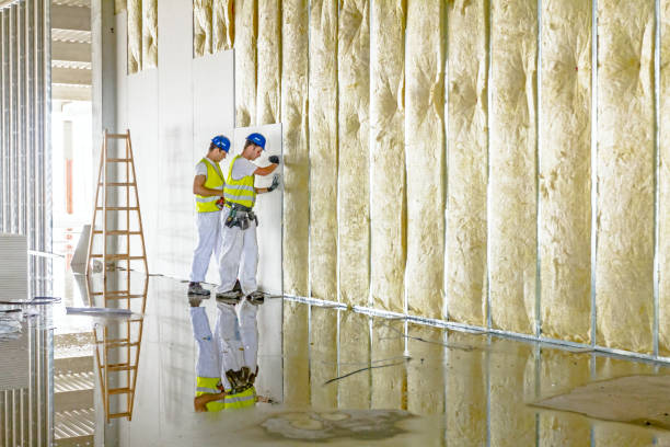 Best Crawl Space Insulation  in Manasquan, NJ